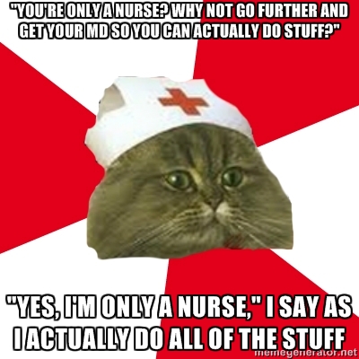 nursing student cat