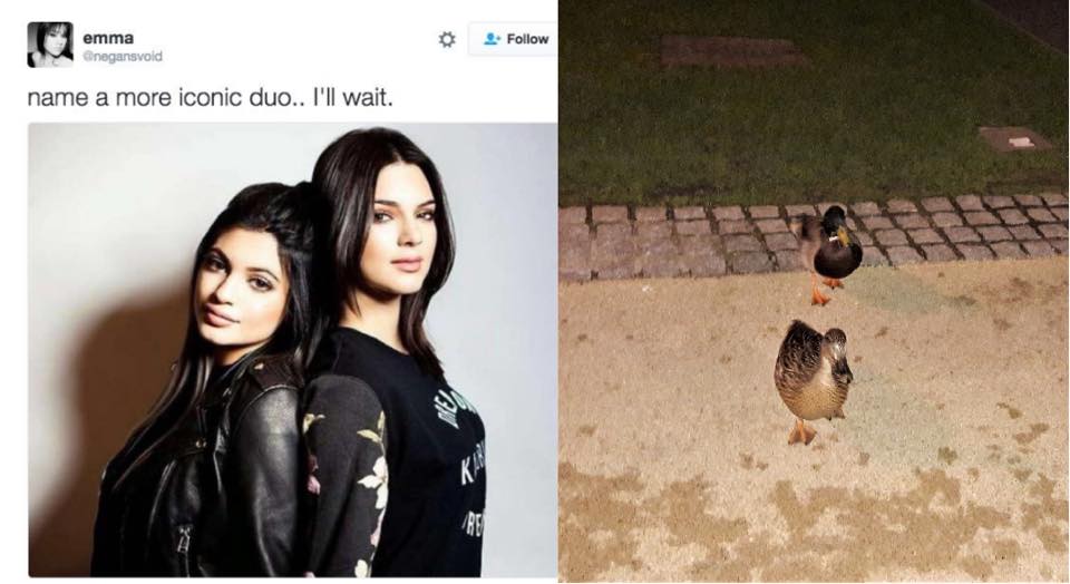 kylie kendall jenner ducks iconic duo