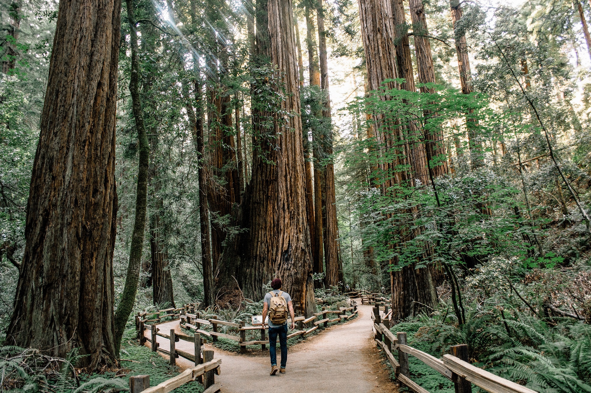 The Top 10 Eco-Friendly Destinations To Visit