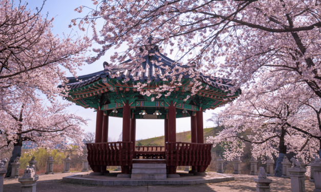 Teaching English in South Korea: The Ultimate Guide