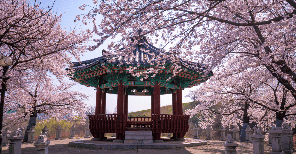 Teaching English in South Korea: The Ultimate Guide