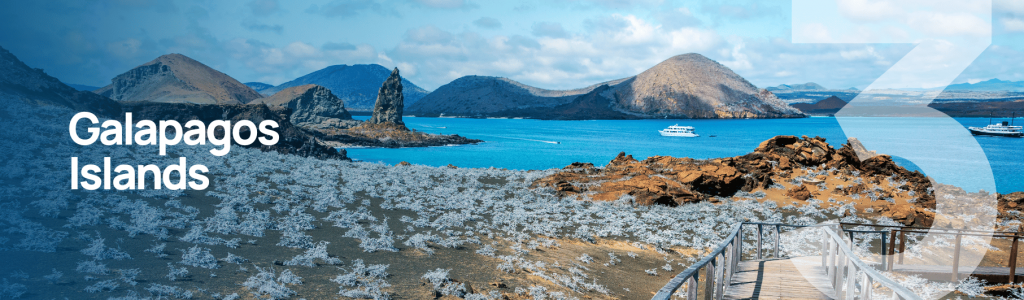 The Galapagos Islands